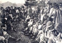 momorlanii din valea jiului