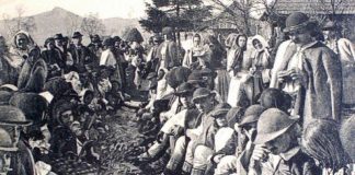 momorlanii din valea jiului