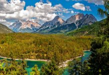 Sălbăticia naturii surprinsă într-un filmuleţ uimitor, în munţii Banatului video mistreti