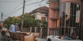 casa tara oasului