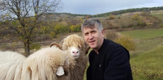 Peste 1.700 de enoriași au sărit în apărarea lui Pomohaci: „E nevinovat, Dumnezeu va face lumină” cristian-pomohaci