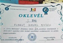 diplome in limba maghiara copy