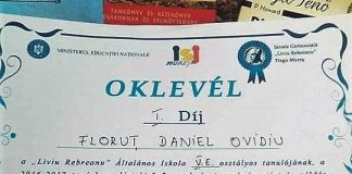 diplome in limba maghiara copy