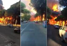 incendii vegetatie italia
