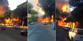 incendii vegetatie italia