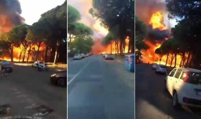 incendii vegetatie italia