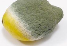 28 de alimente pe care să nu le ții în frigider niciodată! Scoate-le chiar acum