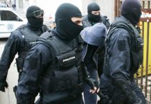 perchezitii diicot diplome licenta false