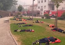 Fotografia cutremurătoare care face înconjurul lumii. Omul care a făcut fotografia a început să tremure și i-au dat lacrimile: ,,Sunt vii?” pompieri portugalia
