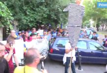 protest dna