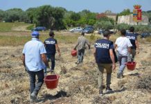 romani sclavi in Italia