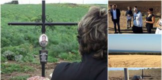 roman mort pe plantatie in italia