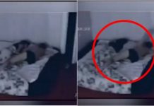 se trezea dimineata cu vanatai