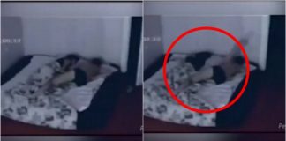 se trezea dimineata cu vanatai