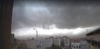 Cod galben - FURTUNA