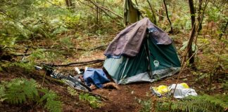 Marianne Friedman-Foote