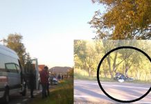 accident mortal in certeze