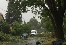 furtuna violenta Timisoara