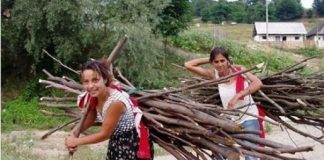 romi turciti babadag