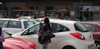 aradeanca cersetoare