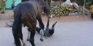 barbat calcat in picioare de cal