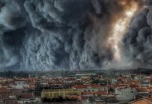 incendii criminale Portugalia