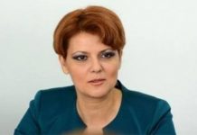 lia olguta vasilescu