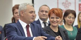 lia olguta vasilescu