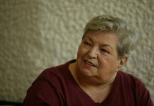 draga-olteanu-matei