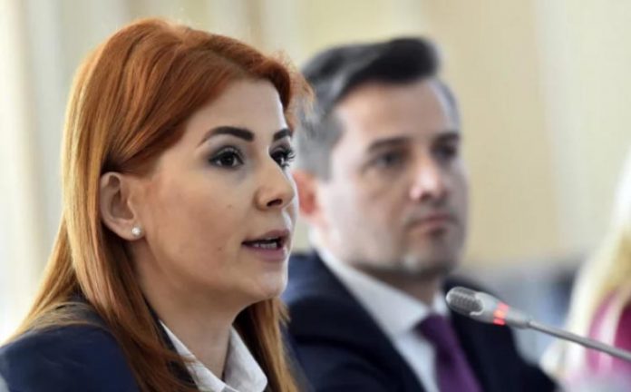 Ioana Bran audiere comisii