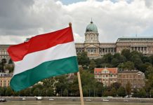 Ungaria intervine în Transilvania. Mișcarea de milioane a Budapestei steagul Ungariei