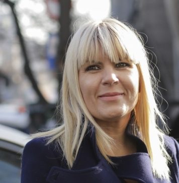 Reacția Elenei Udrea după ce presa a scris că este însărcinată: „Este un fake news”