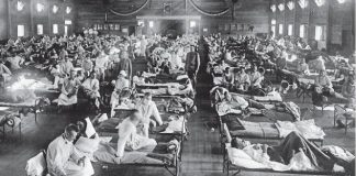 pandemie gripa spaniola