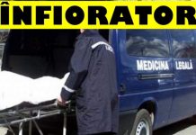infiorator