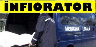 infiorator