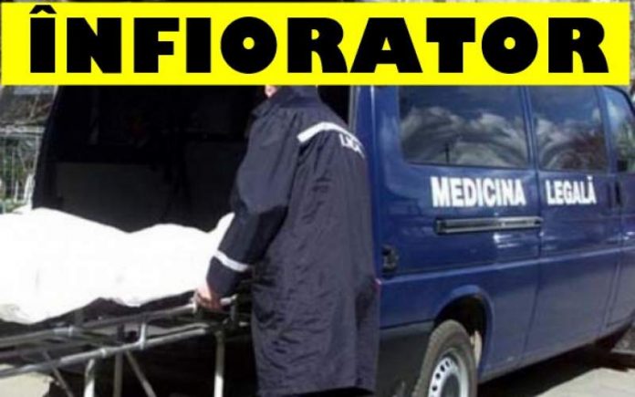 infiorator