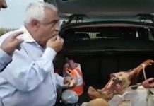 Liviu Dragnea după ce ministrul Daea a jignit evreii: Este o gafă!