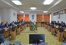 Deputatul Ioana Bran, întâlnire cu o delegație a FMI